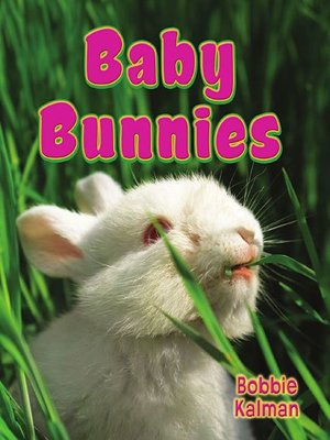 cover image of Baby Bunnies